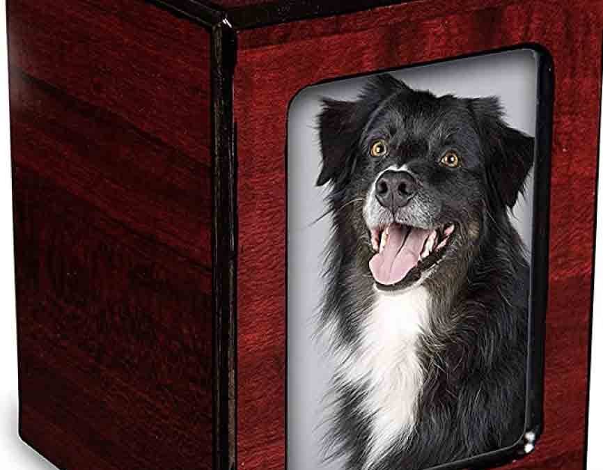 Pet Ashes Keepsake Ideas