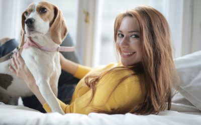 Best Pets for Apartments Living-Top 10 List