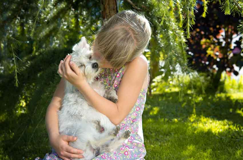 Most Affectionate Pets