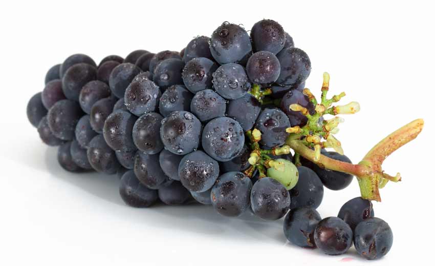 Grapes