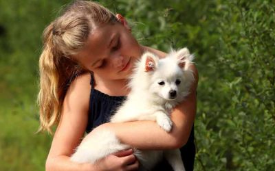 Most Affectionate Pets | Top 20 Famous cuddly Animals