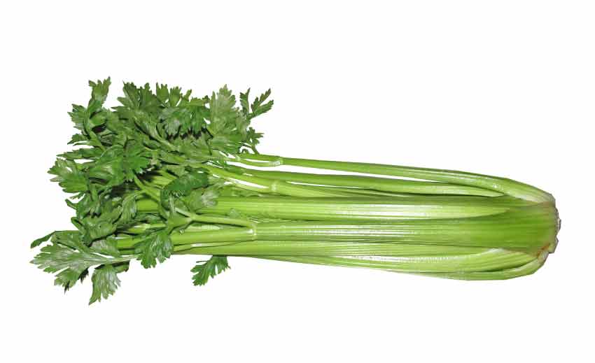 Celery