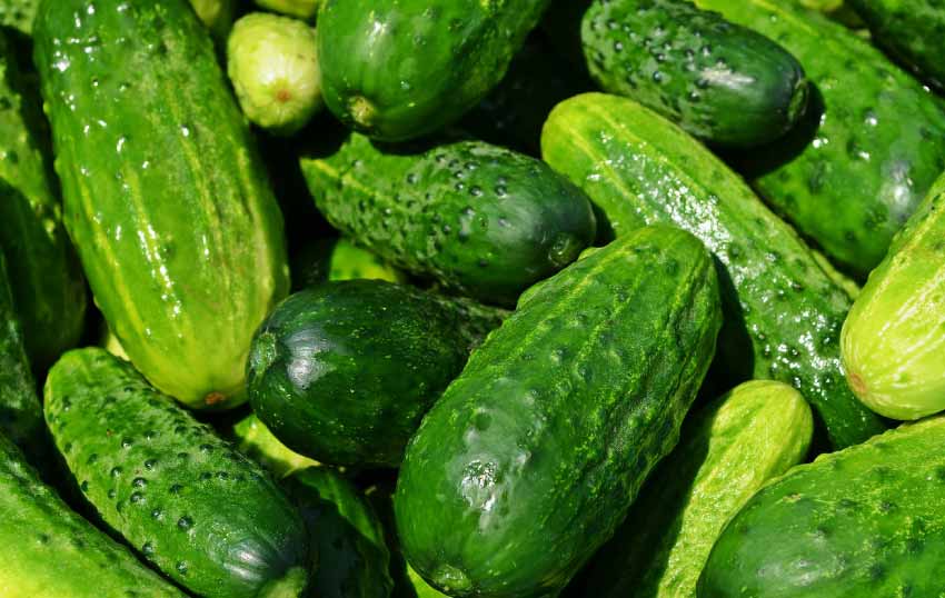 Cucumbers