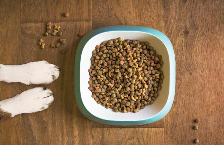 Home Made Pet Food