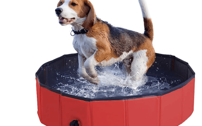 Hard plastic pool for dogs