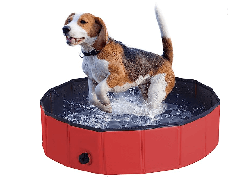 Hard plastic pool for dogs