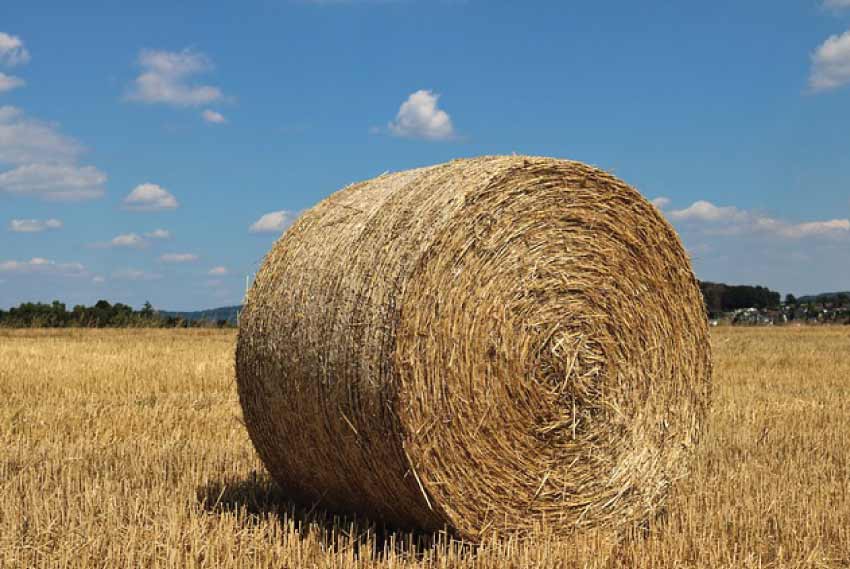 How Many Flakes in a Bale of Hay