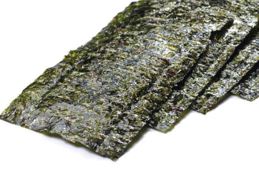 Can cats eat seaweed sheets?