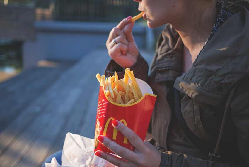 Can cats have McDonald's fries