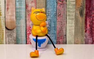 Why Has My Cat Stopped Using the Litter Box? Causes & Fixes