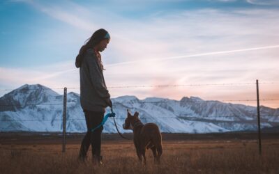 How to Stop a Dog From Pulling on the Leash