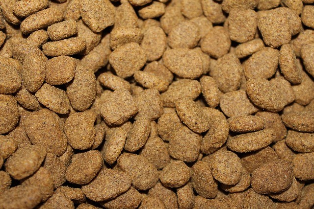 How to Store Pet Food Properly: A Complete Guide