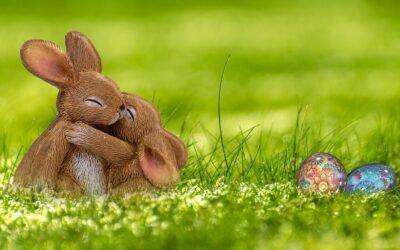 Rabbit Aggressive Behavior: Causes & Gentle Fixes