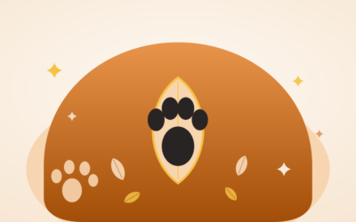 Eco-Friendly Pet Products: The Complete 2026 Buying Guide