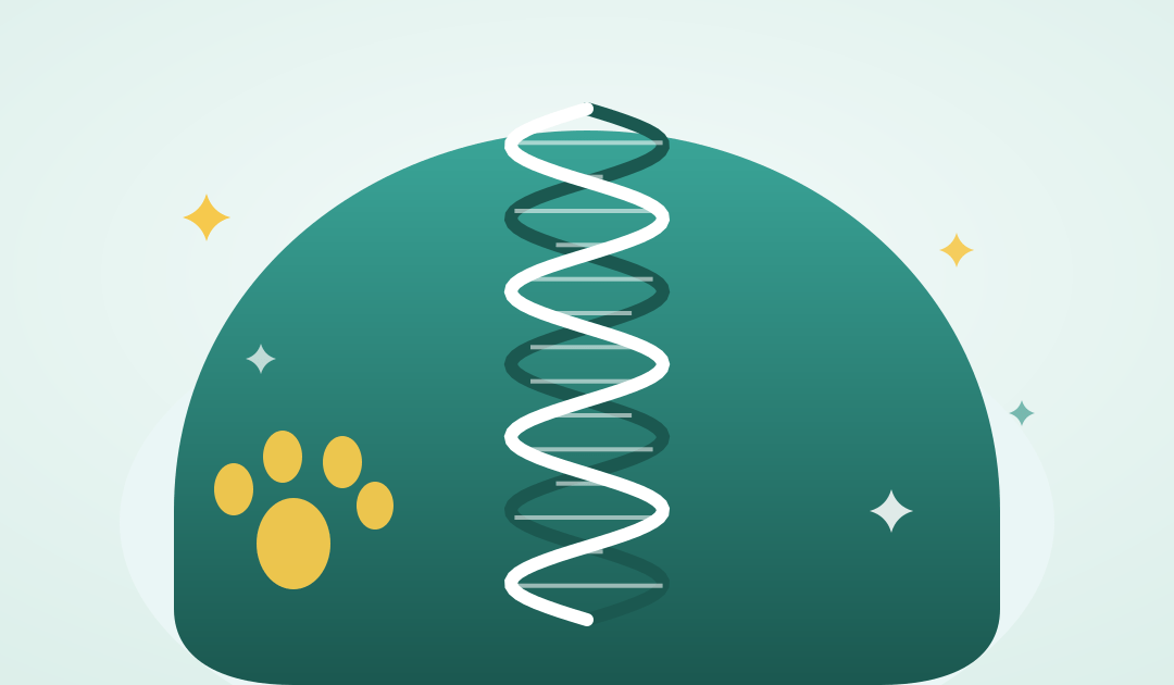 Dog DNA Test Kits: The Complete 2026 Buying Guide