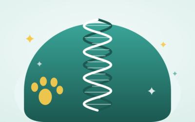 Dog DNA Test Kits: The Complete 2026 Buying Guide