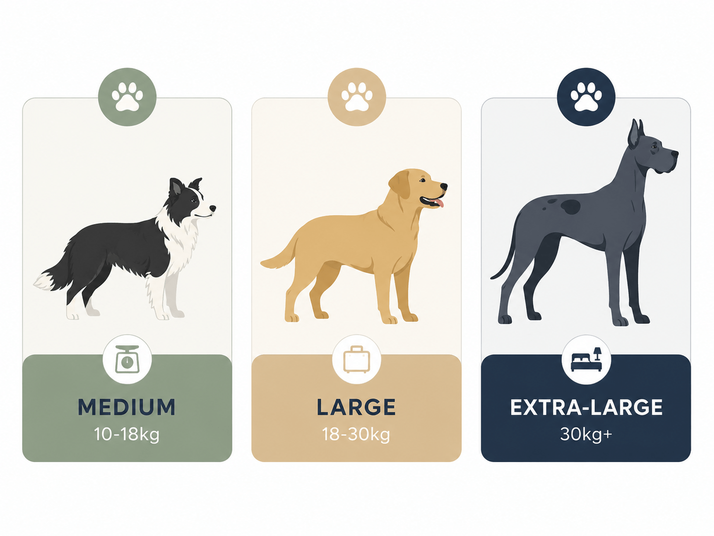 large dog friendly hotels UK large dog friendly hotels UK