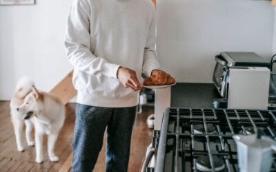 Can Dogs Have Cinnamon? Essential Safe Feeding Guide (2026)