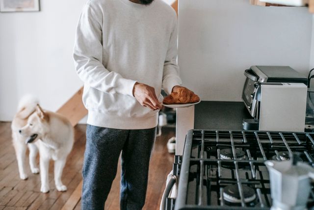 Can dogs have cinnamon: a dog watching its owner hold a pastry in the kitchen