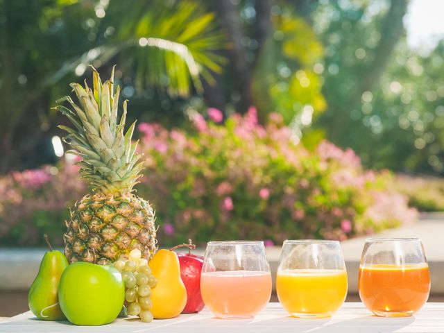 Can Dogs Have Pineapple Juice? Essential Safe Guide (2026)